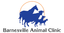 Link to Homepage of Barnesville Animal Clinic