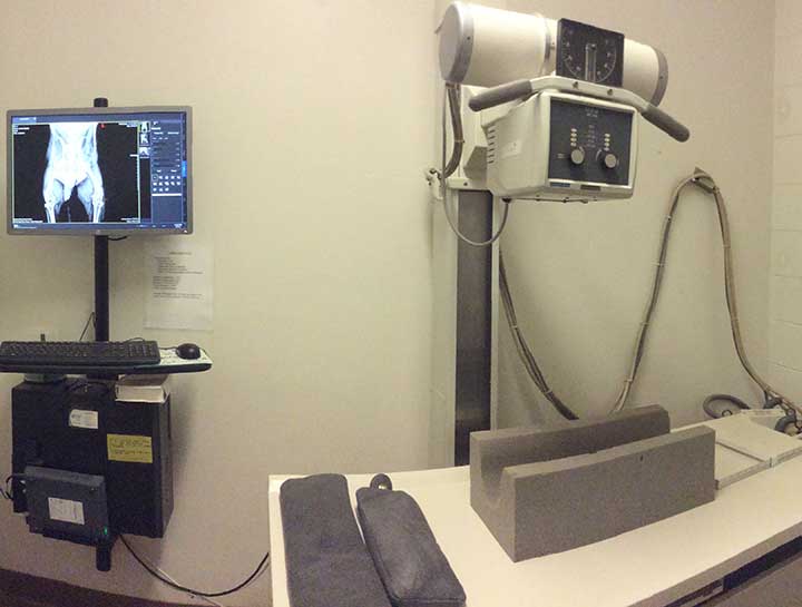 Pet Digital Radiology