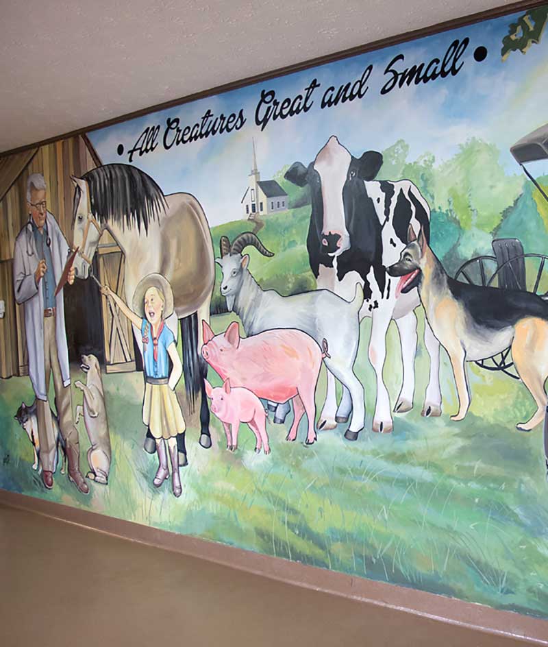 Veterinary Hospital in Barnesville