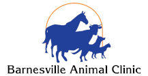 Barnesville Animal Clinic Veterinarians